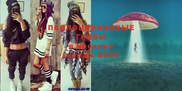 MESCALINE Горно-Алтайск