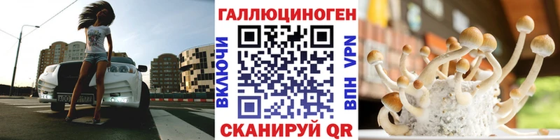 площадка как зайти  Псков  Псилоцибиновые грибы GOLDEN TEACHER 